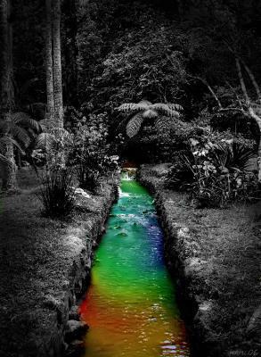 LES COULEURS ....